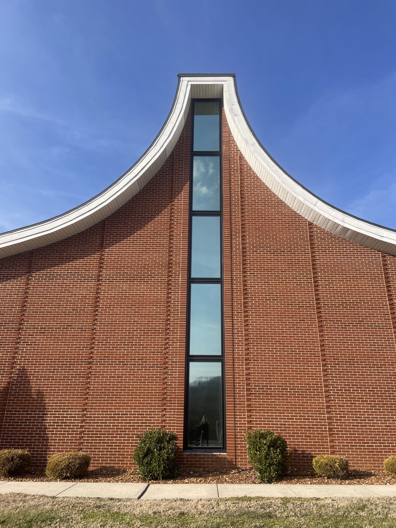 commercial window tinting